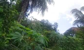 Imagem 4: Vendo Terreno lindo na Avenida do Gapara