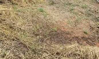 Imagem 5: Vendo lote em Vianópolis Betim