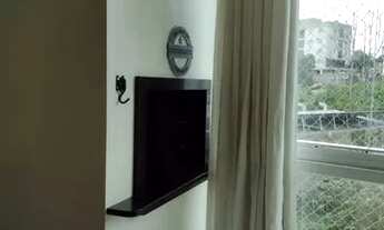 Imagem 6: CAXIAS DO SUL - Padrão - Santa Lucia