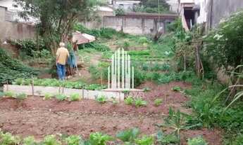 Imagem 4: Terreno à venda na Vila Rosa com 480m²