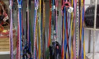 Imagem 5: Agropecuária Galpão / depósito com venda por R$80.000