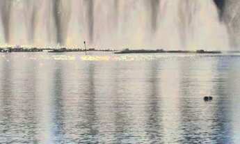 Imagem 7: Altier Moema Pássaros