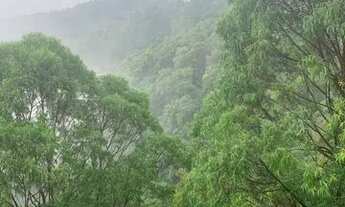 Imagem 3: Apartamento para venda tem 132 metros quadrados com 3 quartos