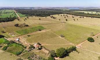 Imagem 4: 44 alqueires - Excelente aproveitamento