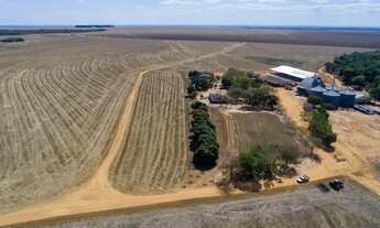 Imagem: Fazenda à Venda Região de Campo Novo do