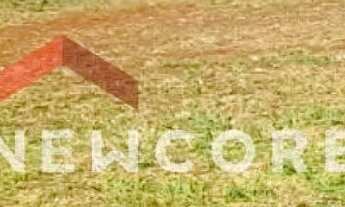 Imagem 2: Lote em Rua Cecília Cortapasso Ferreira - Jardim Girassol - Pirassununga/SP