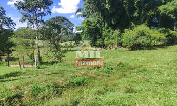 Imagem 3: Fazenda 110 alqueires (532,4HAC) Anicuns - GO