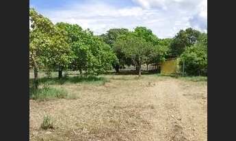 Imagem 7: Vende-se Chácara de 44 Mil m² em Área Urbana de Palmas