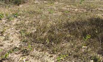 Imagem 2: OPORTUNIDADE LOTE EM CONDOMÍNIO FECHADO 1100m²