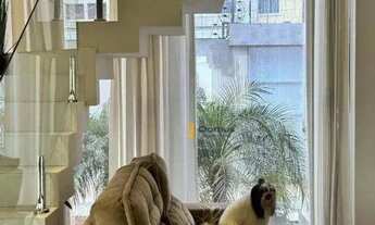 Imagem 4: Casa com 4 dormitórios à venda por R$ 1.350.000,00 - São João - Teresina/PI