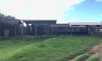 Imagem 2: Fazenda para venda em Araruama/RJ, 52 Alqueires [48.400 cada], Água, Luz, Asfalto na Porta
