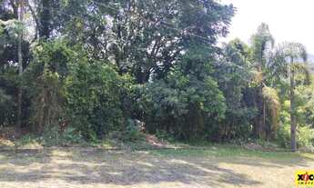 Imagem 2: Terreno para Venda em Nova Petrópolis, Juriti