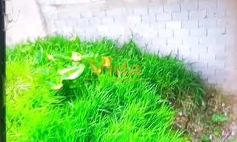 Imagem 3: Terreno à venda, Chácara Santa Cecília, 5x25 aclive