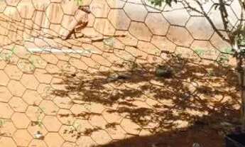 Imagem 7: Vendo casa com amplo ponto Comercia no morada em Anápolis