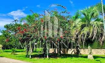 Imagem: Terreno Jurerê internacional