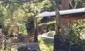 Imagem 2: Sítio para venda em Sodrelândia na Região Serrana em Trajano de Morais/RJ, 6,5 Alqueires