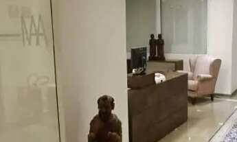 Imagem 2: Conjunto, 500 m² - venda por R$ 5.800.000,00 ou aluguel por R$ 75.000,00/mês - Bela Vista