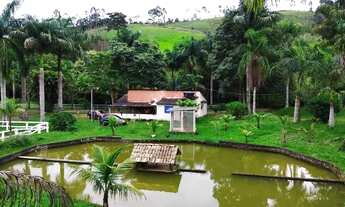 Imagem 4: Sítio em Santa Isabel