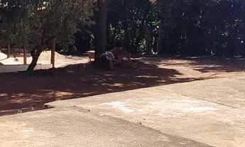 Imagem 2: Chácara em Aragoiania