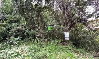 Imagem 5: Lote em Residencial Riviera