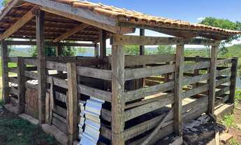 Imagem 3: Fazenda 37 alqueires