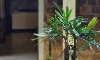 Imagem: Casa na praia dos Carneiros Tamandaré próxima