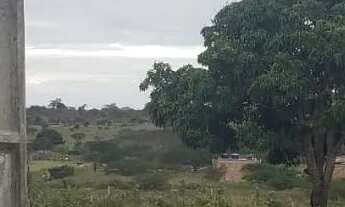 Imagem 4: Terreno 5 Mil. Oportunidade imperdível