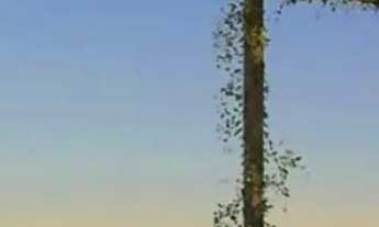 Imagem: Sunset Beach Hall O Seu Novo Refúgio na