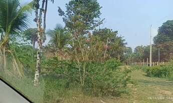 Imagem 4: Vendo Sítio na Estrada de Autazes