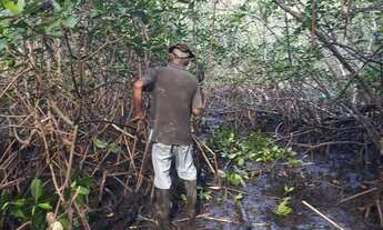 Imagem 3: Fazenda de CAMARÃO - 26 tarefas - INDIAROBA