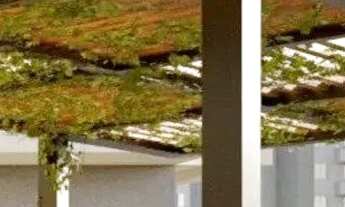 Imagem 5: Lançamento em excelente localização no bairro Estreito