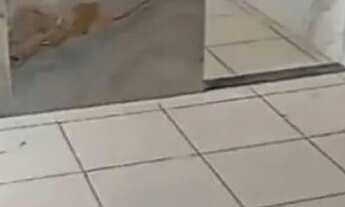 Imagem 5: AGIO R$105 MIL Apartamento com 2 dormitórios