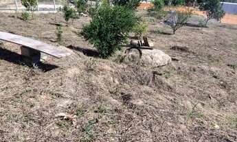 Imagem 2: Chácara em piedade