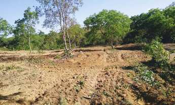 Imagem 3: Vendo Chácara 5000mts