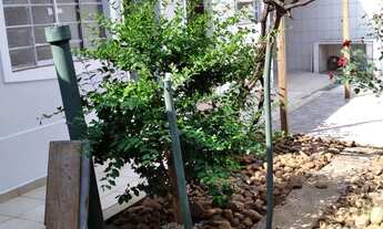 Imagem 6: Alugo casa no parque sao domingos-sp