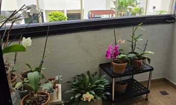 Imagem 6: Interface Vende apto.3 dorms 1 suite 2 vagas, próximo ao Santana Park