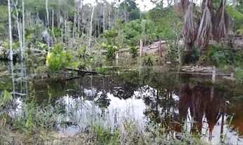 Imagem: Vendo terreno zona Rural, Novo Airão, no