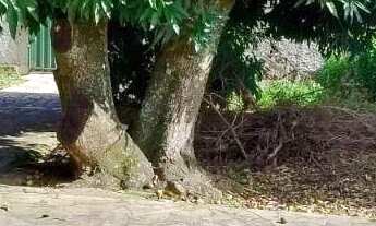 Imagem 7: Terreno à venda, 525 m² por R$ 1.100.000,00 - Cidade Universitária - Anápolis/GO