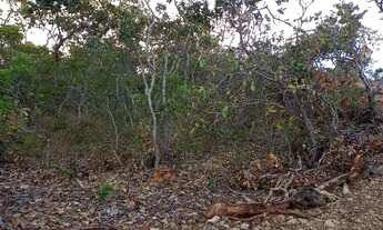 Imagem 2: Excelente Oportunidade