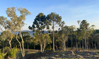 Imagem 6: Terreno com uma vista Surreal em Urubici