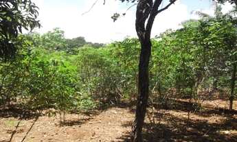 Imagem 7: Sitio maravilhoso a 6,5 km do asfalto, Jaboticatubas (Temos varias opções)