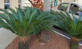 Imagem 7: Apartamento mobiliado próximo ao Prezunic