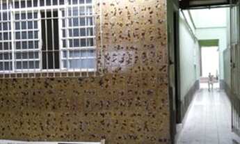 Imagem: Casa - Americanopolis