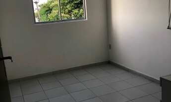 Imagem 3: Sitio viver 2, Cruz de Rebouças igarassu