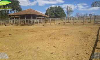 Imagem 4: Fazenda de dupla aptidão