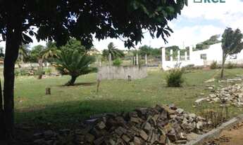 Imagem 3: Sou um terreno com 14 mil m² na BR-101, perto do Trevo de Extremoz, e custo R$ 549 mil