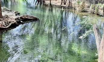 Imagem: Roça no Salitre Povoado de Braúna Juazeiro