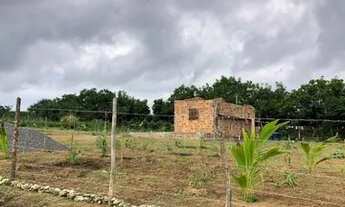 Imagem 3: Lotes em Santa Bárbara