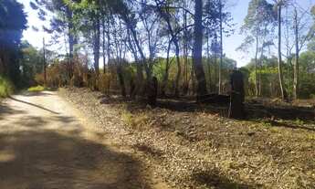 Imagem 5: LINDO LOTEAMENTO VALOR PROMOCIONAL PARA OS 10 PRIMEIROS