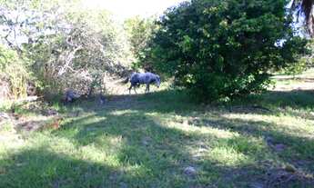 Imagem 3: Lote/Terreno para venda com 170000 metros quadrados em Bela Vista - Camaçari - BA